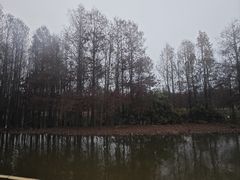 -厦门园林博览苑