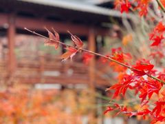 -径山寺