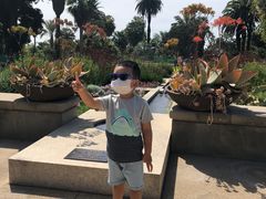 -汉庭顿图书馆