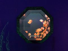 -海合安天津极地海洋公园
