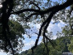 -潮州西湖