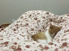 -东南大学附属中大医院(本部)