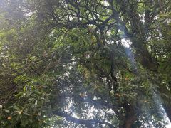 -浙江大学(之江校区)