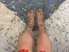 -水晶之星洗浴温泉汗蒸