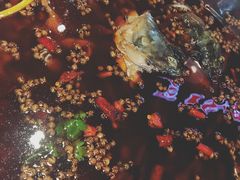 -麻辣巅峰美蛙鱼头火锅(犀浦店)