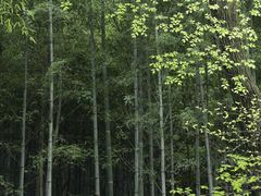 -穹窿山景区