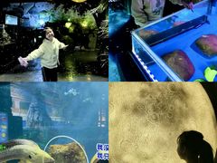 -顺德南宏海立方海洋公园