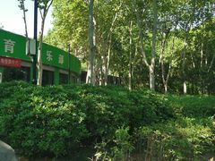 -西安市长乐公园