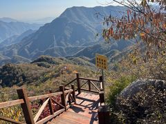-大岭沟猕猴桃谷风景区