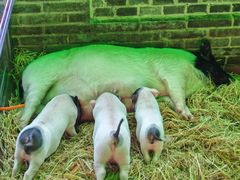 -杭州野生动物世界