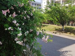 -江南大学(蠡湖校区)