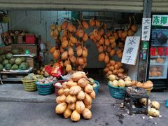 -三亚新鸿港水果一级批发市场