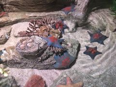 -沈阳海洋探索中心