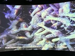 -同济大学四平路校区深海探索馆