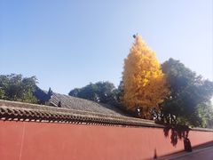 -西安市广仁寺