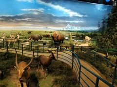 -陕西自然博物馆