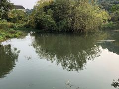 -南北湖湖光山居度假酒店