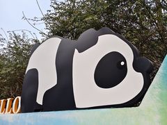 -府河摄影公园