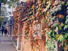 -天津五大道文化旅游区