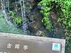 -宋宴(虎跑店)