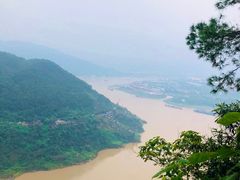 -铁山坪森林公园