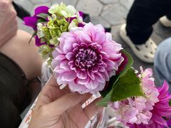 -大理洱海