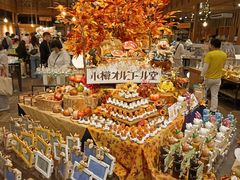 -小樽八音盒堂