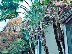 -深圳国际园林花卉博览园