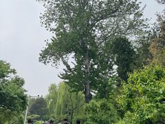 -中国农业博物馆