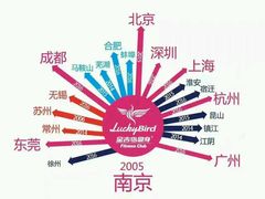-金吉鸟健身游泳