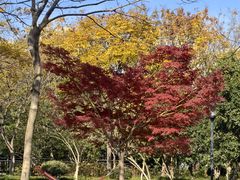 -杭州城北体育公园