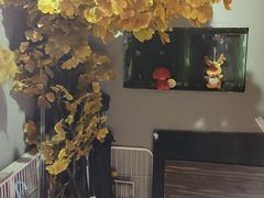 -怪谈恐怖真人实景密室逃脱(百隆广场A座店)