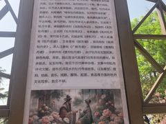 -曹州牡丹园