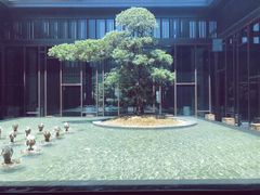 -上海崇明金茂凯悦酒店