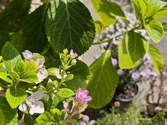 -时光花园(白鹭洲店)