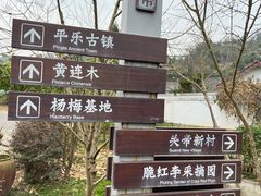 -芦沟竹海