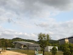 -中山市树木园