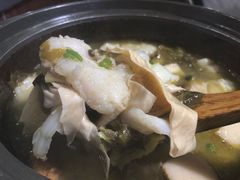 -周鱼小馆石锅酸菜鱼(活力汇店)