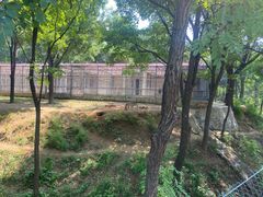 -石家庄市动物园