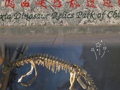 -中国西峡恐龙遗迹园