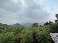 -莫干山风景区