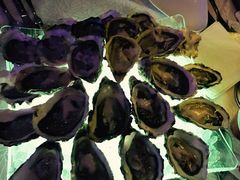 -Day and Night Angus Steak & Raw Bar