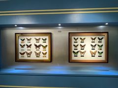 -上海昆虫博物馆