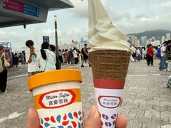 -富豪雪糕车流动点(尖沙咀)
