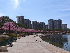 -新江湾城公园
