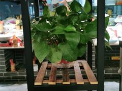 -丈母娘的饭局•新金陵菜(牛首山店)