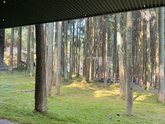 -玉苍山国家森林公园