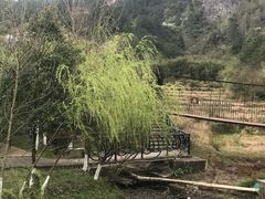 -玻璃桥景区石牛寨