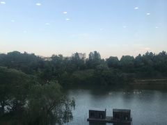 -仙林宾馆-餐厅
