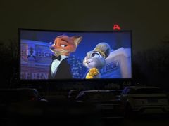 -枫花园汽车电影院(朝阳公园店)